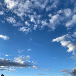 Meet your Posher, Gerardi